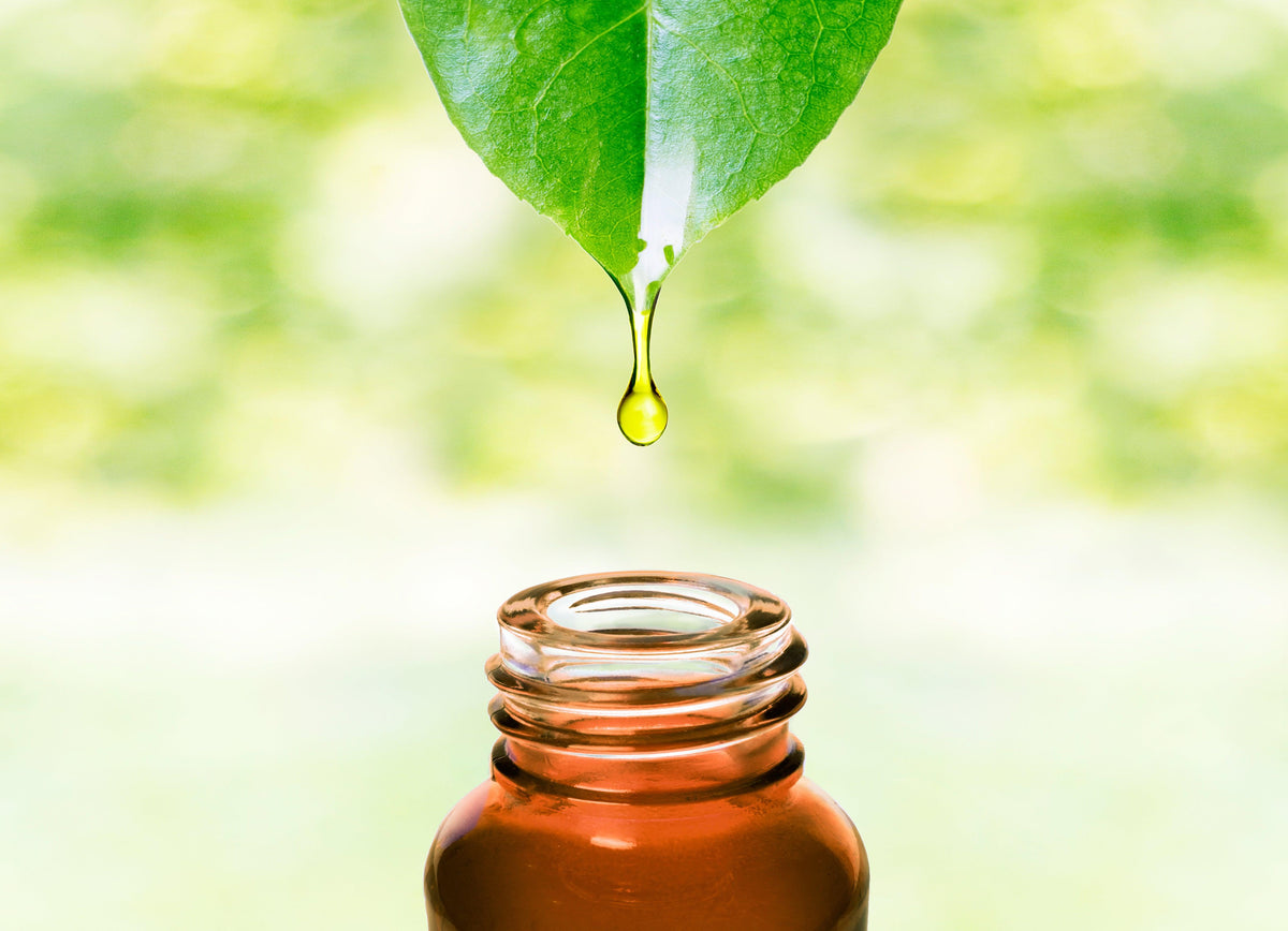 Seven Essential Organic Oils for Complete Hair Nutrition - Vitta Gold™ Global